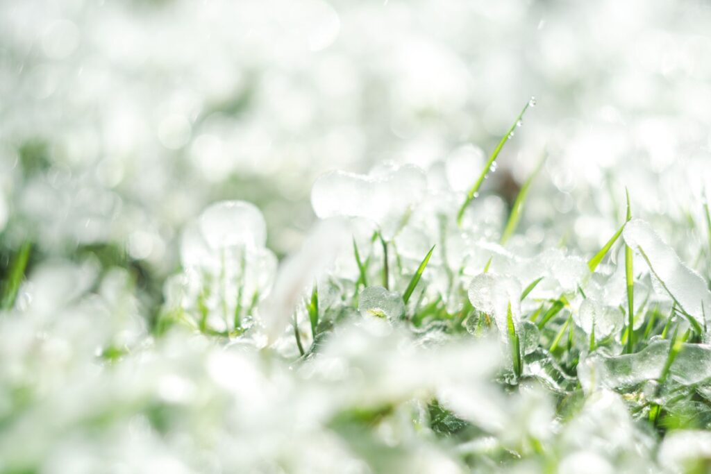 Carport ochrona samochodu przed gradobiciem 2
